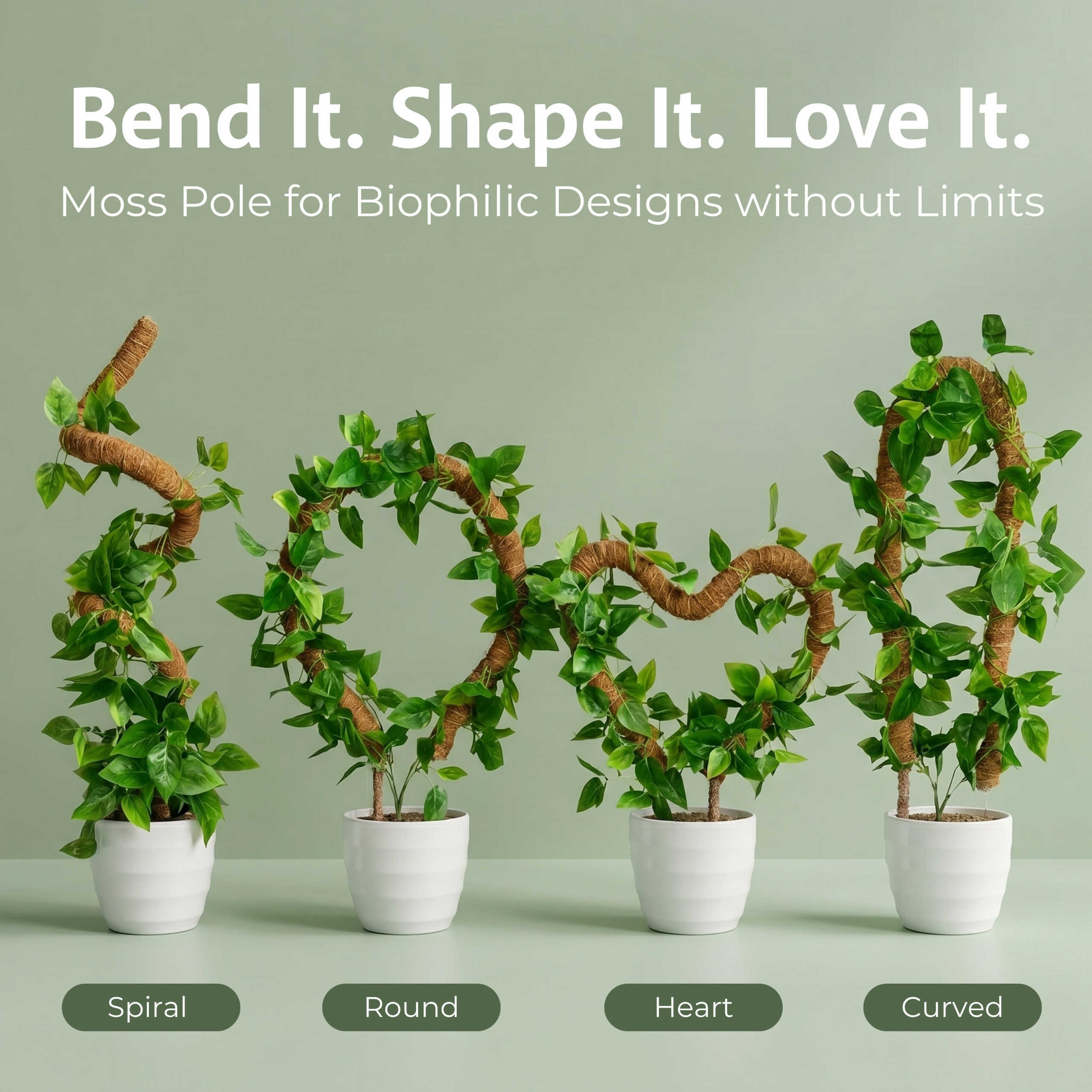 Bendable Moss Pole Project 2560x2560