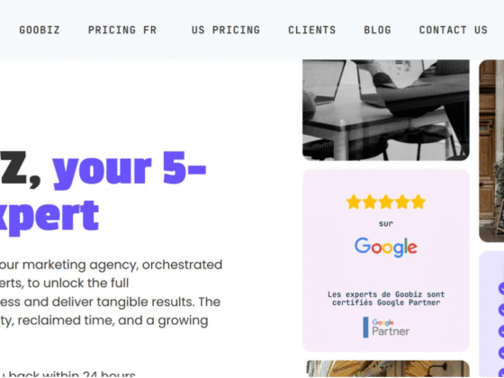 GOOBIZ website development