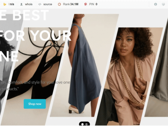 skyk goods llc website development